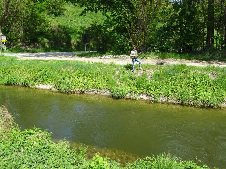 Angeln an der Leitha im Revier Leitha-Ursprung