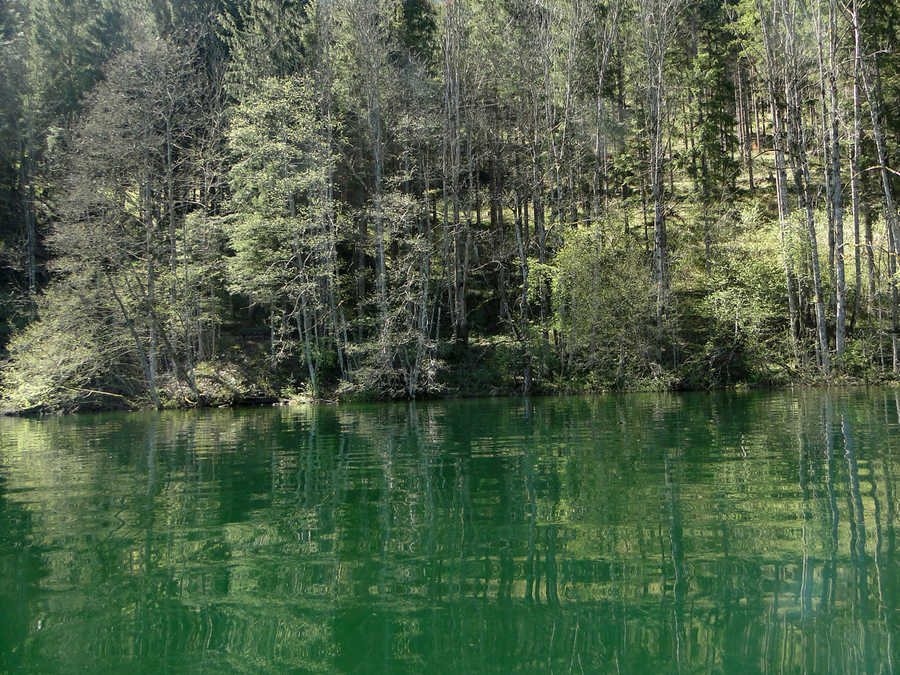 Das Südufer ist volkommen naturbelassen