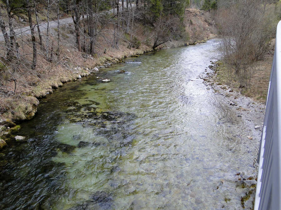 Mürz - untere Reviergrenze / Fellnerbrücke - 700m oberhalb von Mürzsteg