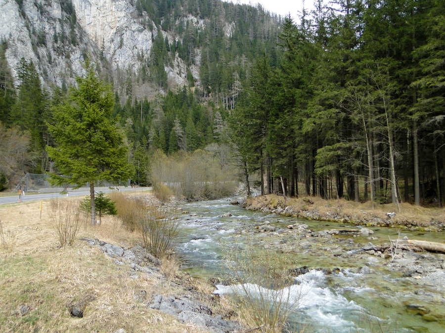 Die Mürz im Oberen Mürztal