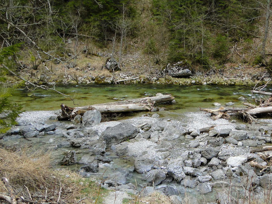 Hier ist die Mürz ein nahezu unberührtes Naturidyll