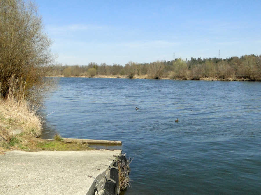 Die Mur bei Hasendorf an der Mur