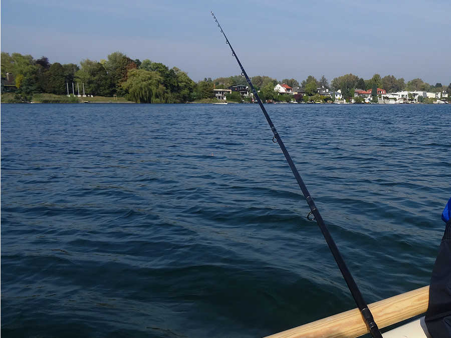 Bootsangeln am Neufeldersee