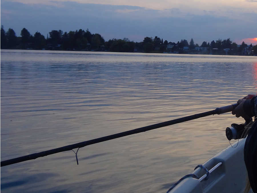 Angeln am Abend vom Boot am Neufeldersee