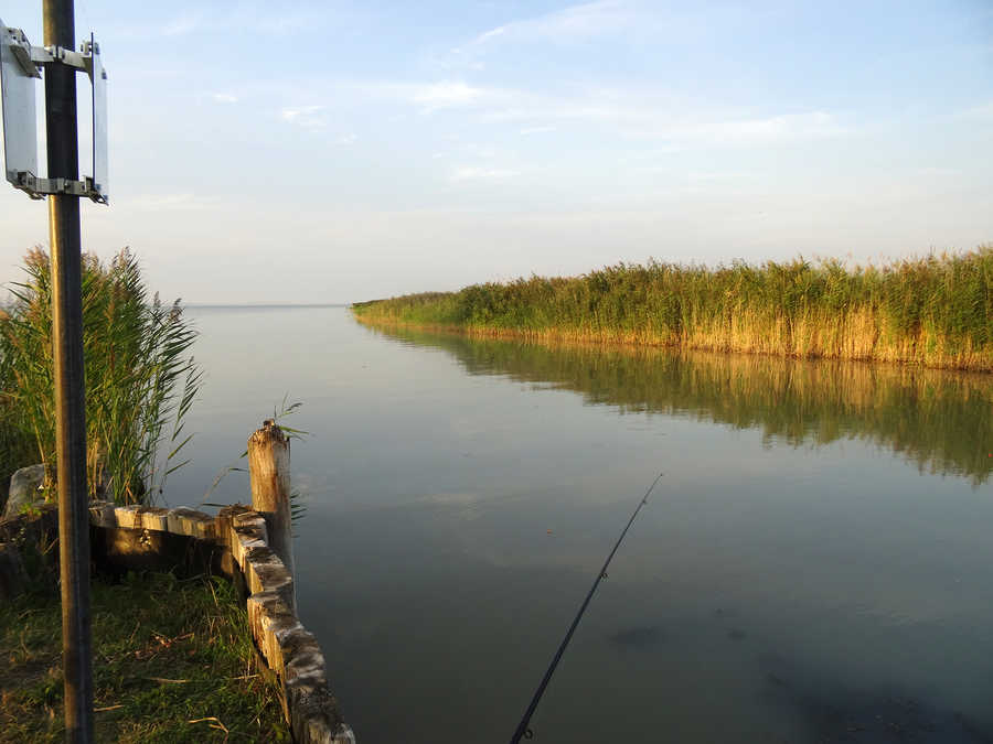 Angeln am Neusiedlersee