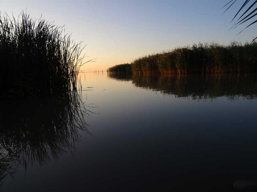 Neusiedlersee bei Purbach am frühen Morgen