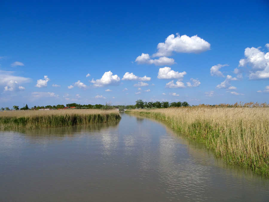 Neusiedlersee vor Illmitz