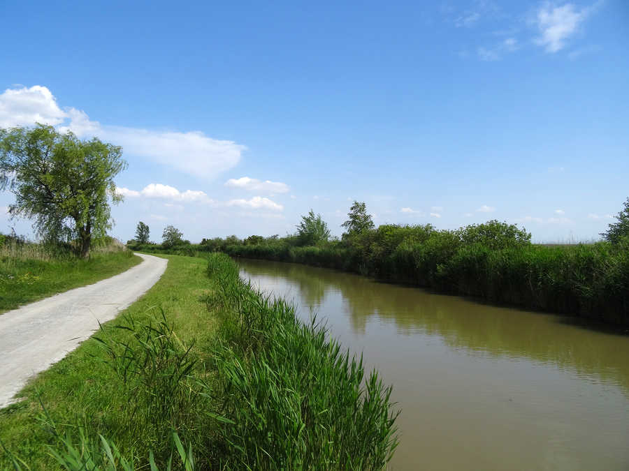 Seekanal bei Purbach