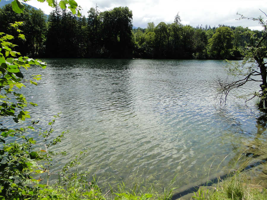 Es gibt gute Angelplätze am Reintalersee