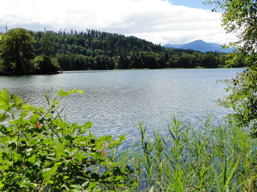 Ein Weg führt um den Reintaler See