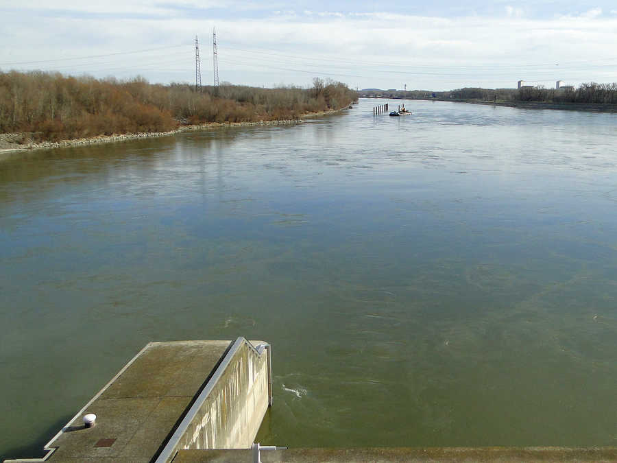 Die Donau unterhalb vom Kraftwerk Freudenau