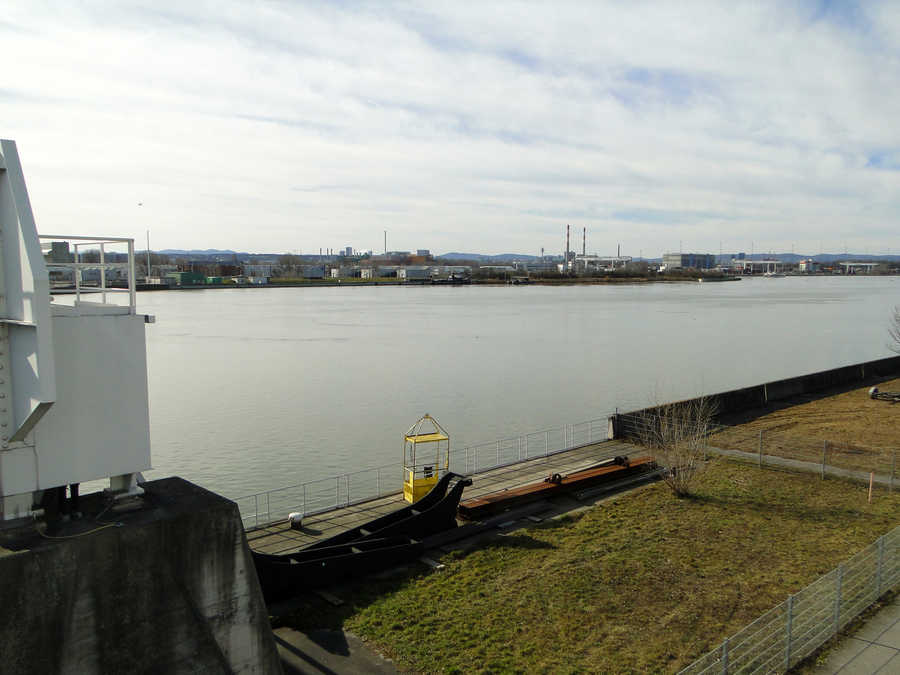 Donau oberhalb vom Kraftwerk Freudenau - aufgestauter Bereich