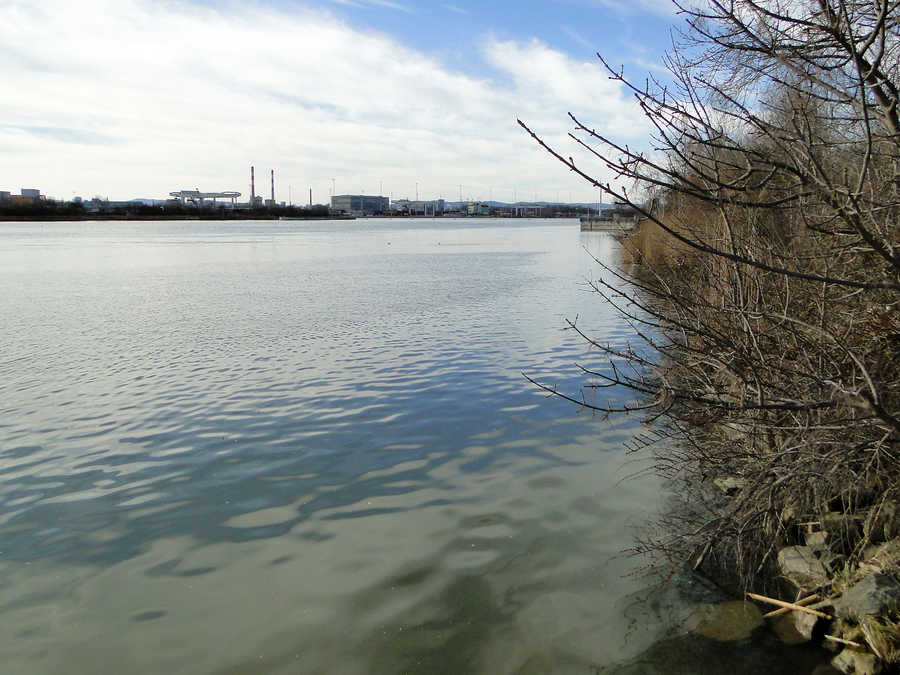 Linkes Donauufer (Staubereich) im Revier Freudenau