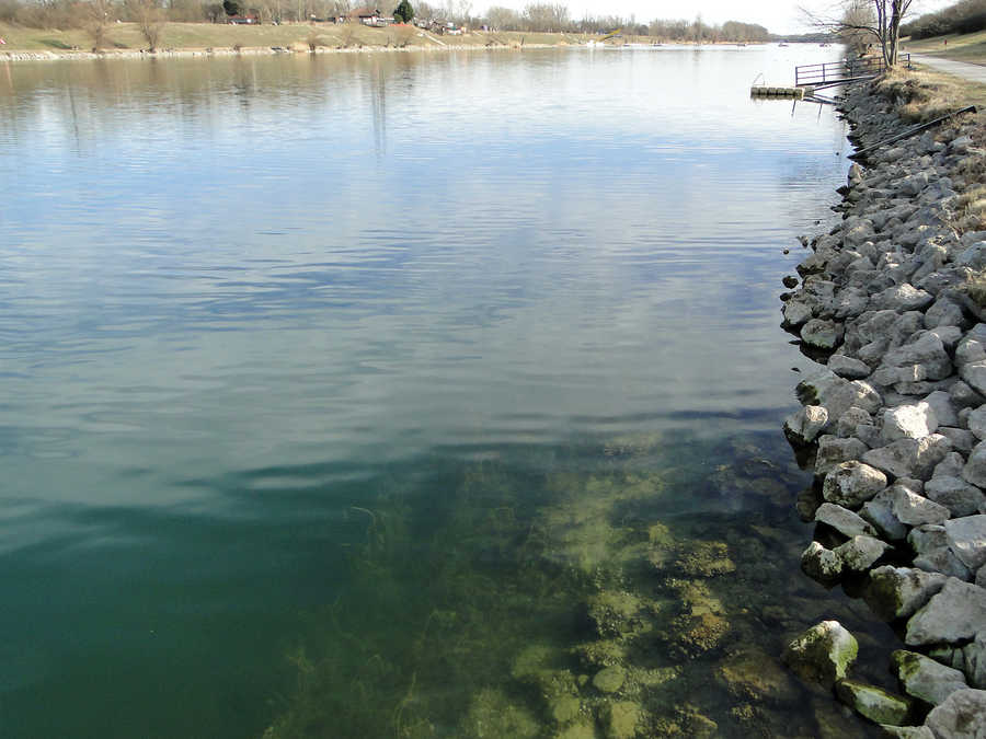 Neue Donau im Revier Freudenau