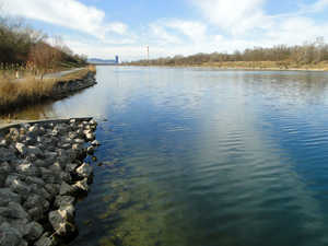 Revier Freudenau - linkes Ufer
