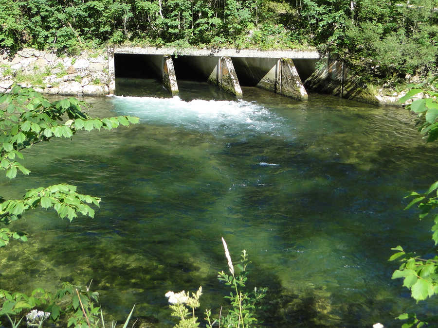 Fliegenfischen an der Salza