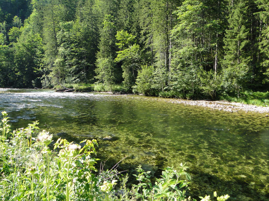 Die Salza oberhalb von Gschöder