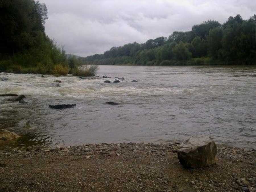 Salzach Revier 1 - Bild 2