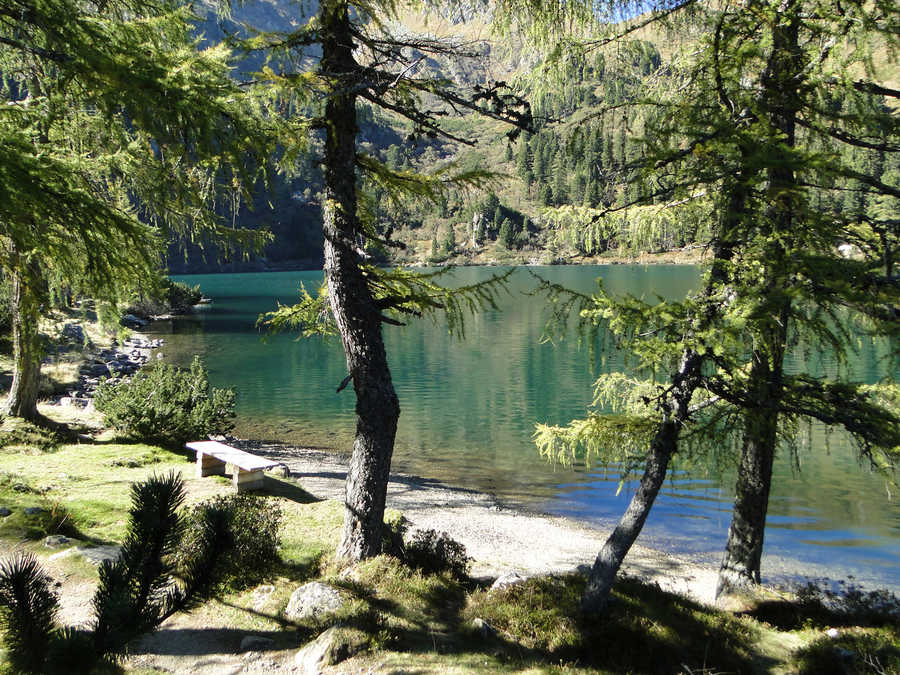 Ein Rundweg führt direkt um den großen Scheibelsee