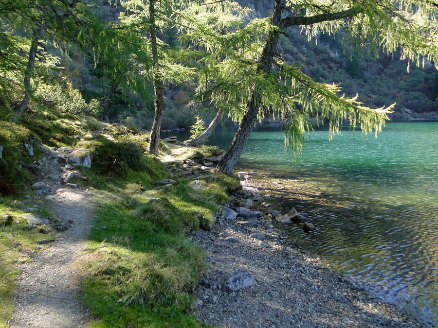 Der Große Scheibelsee 