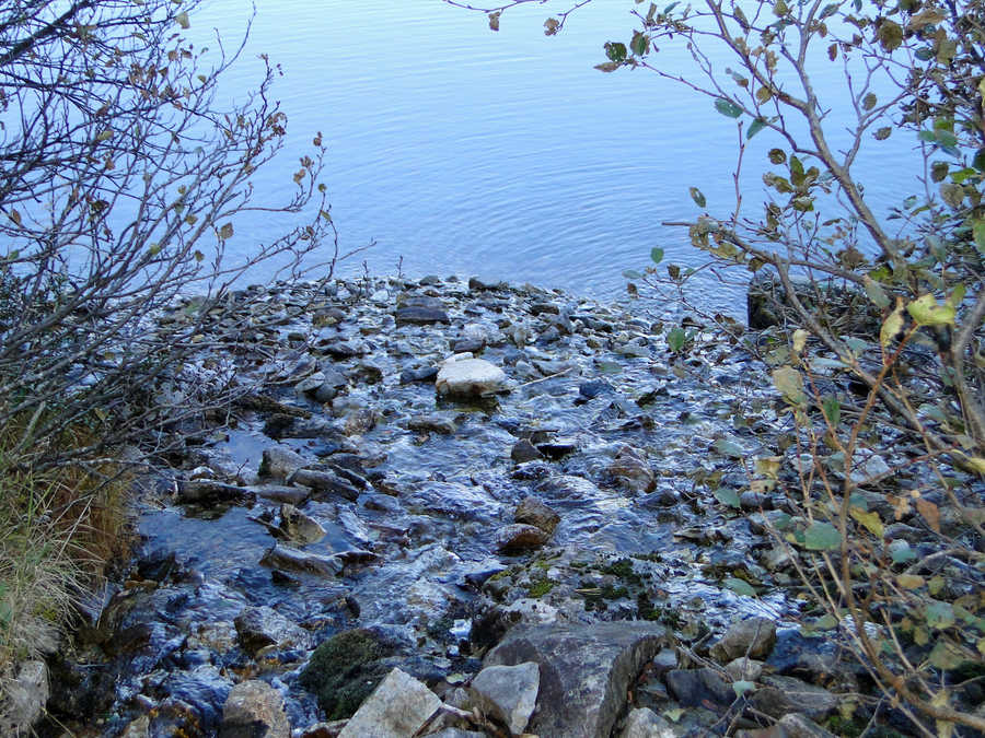 2 Bäche versorgen den Scheibelsee mit Wasser