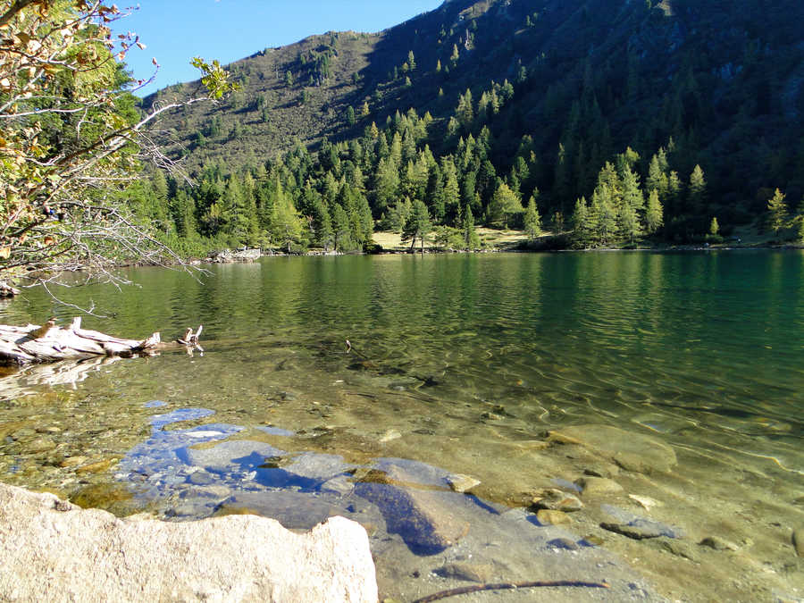 Großer Scheibelsee