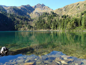 Großer Scheibelsee