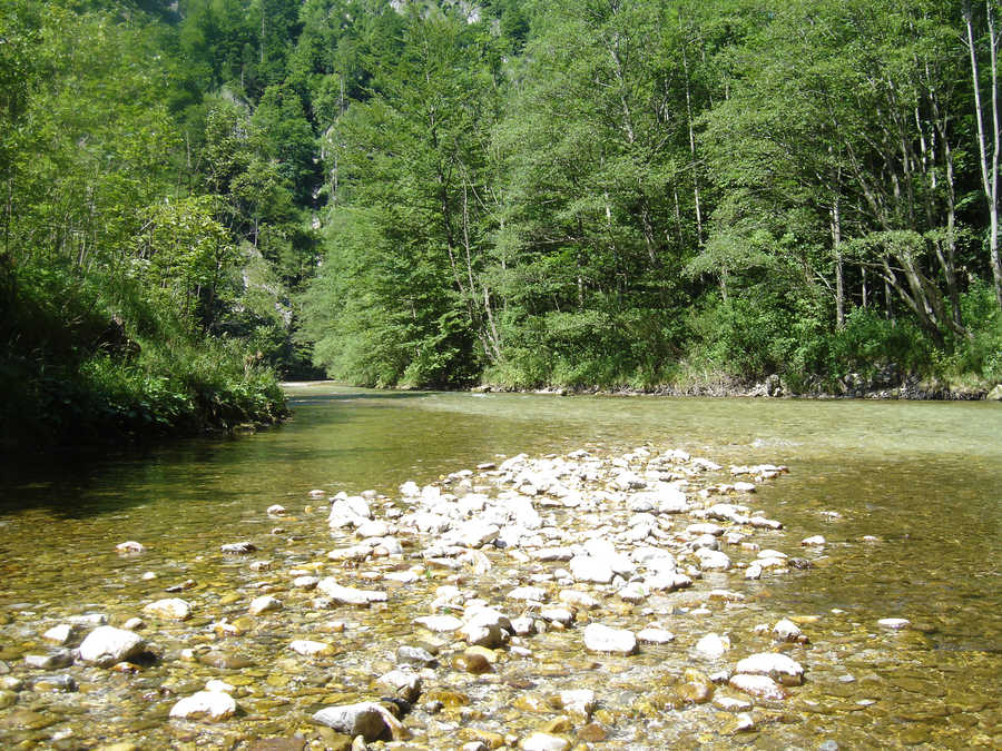 Die Schwarza im Höllental