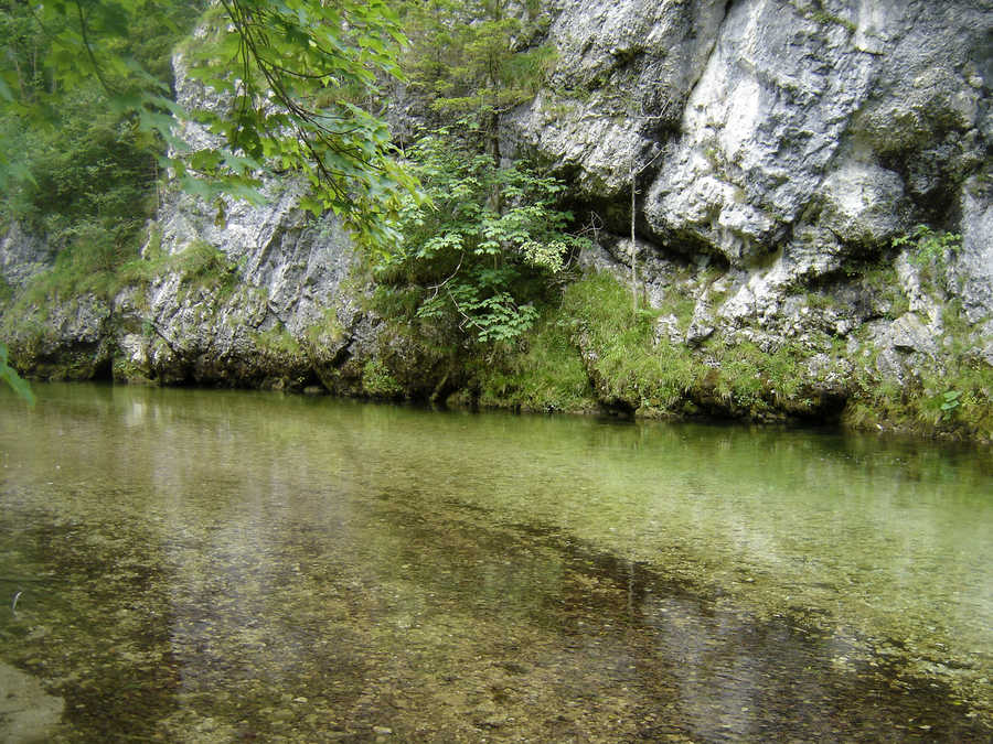 Die Schwarza liegt hier zwischen Rax und Schneeberg