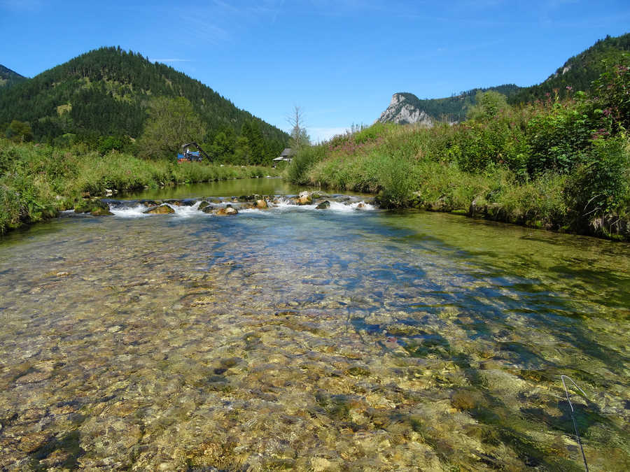 Die Schwarza in Niederösterreich