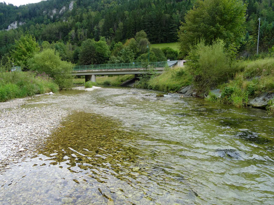 Schwarza in der Nähe der Grenze Revier III und II in Schwarzau