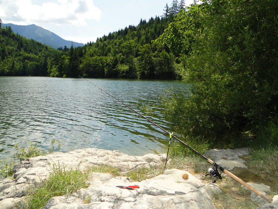 Angeln am Schwarzensee