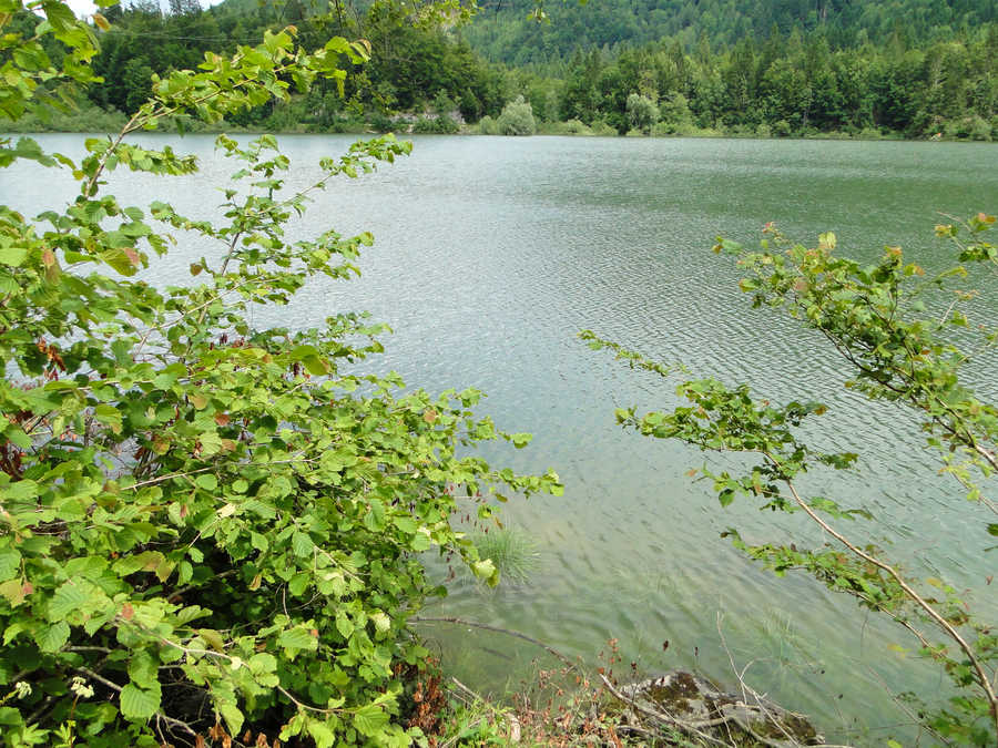 Fischen am Schwarzensee