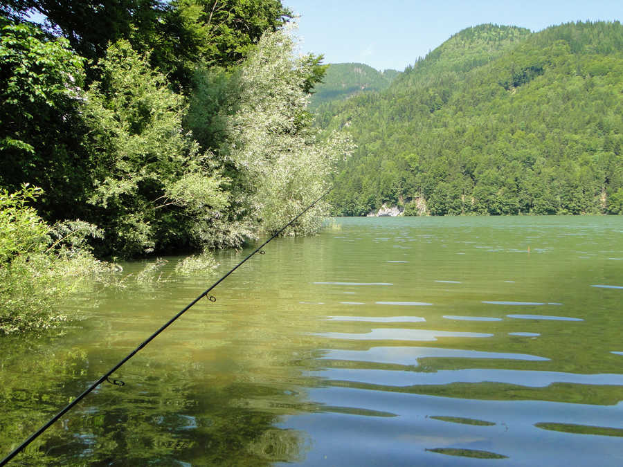 Angeln im Schwarzensee