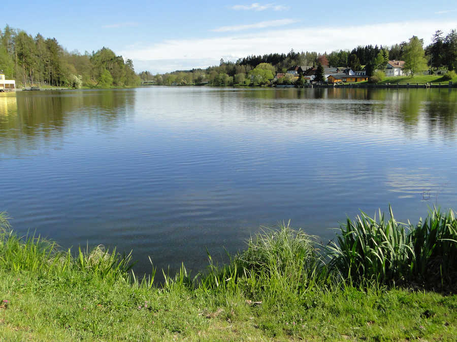 Stadtsee Allentsteig