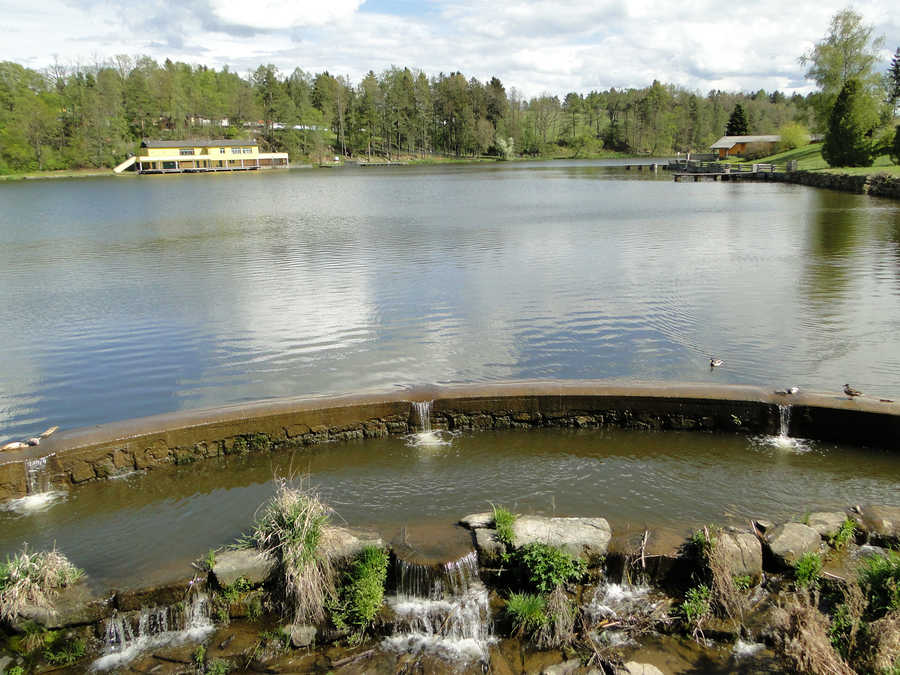 Abfluss aus dem Stadtsee Allentsteig in die kleine Thaya