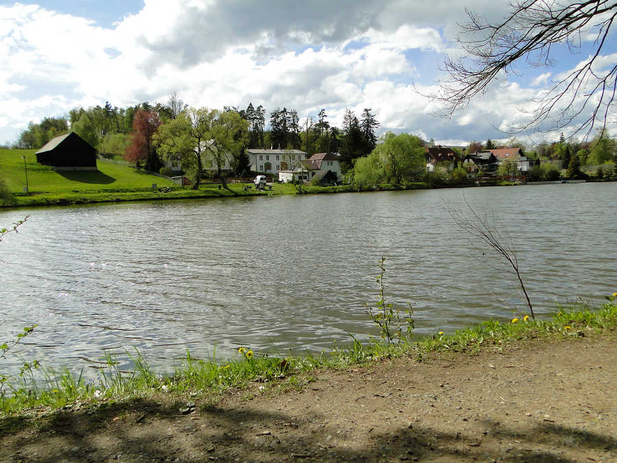 Allentsteiger Stadtsee - Blick auf das Westufer