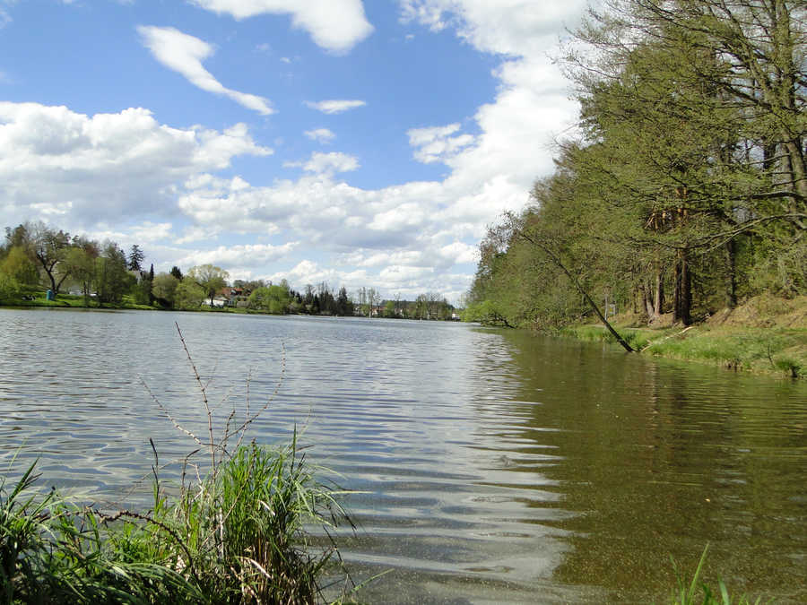 Stadtsee Allentsteig - Ostufer