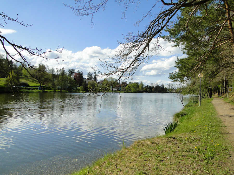 Ein Weg mit ca 2,5 km führt um den Stadtsee Allentsteig