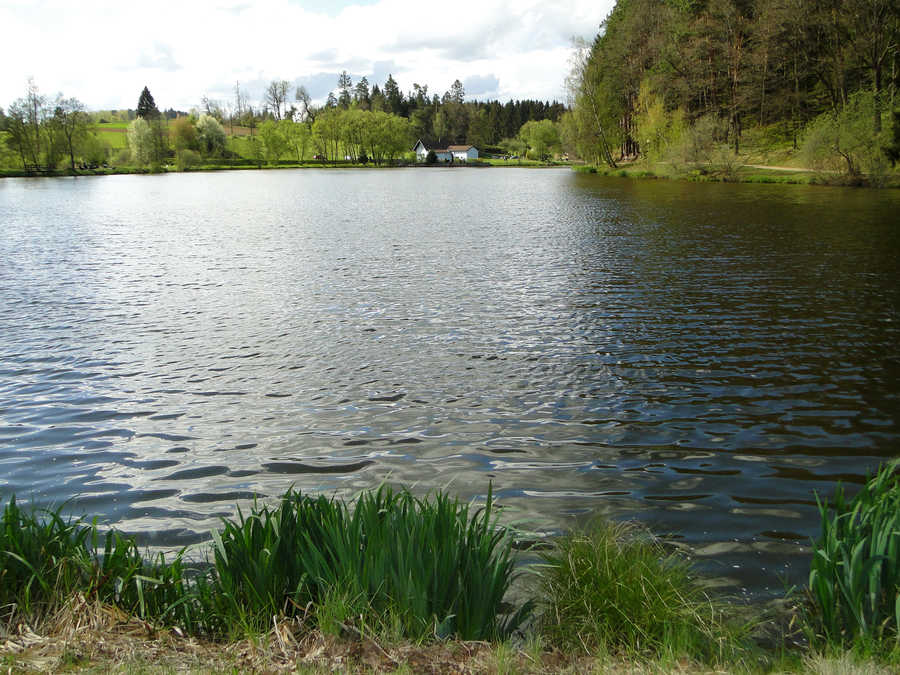 Allentsteiger Stadtsee - Blick vom Südufer in Richtung Norden