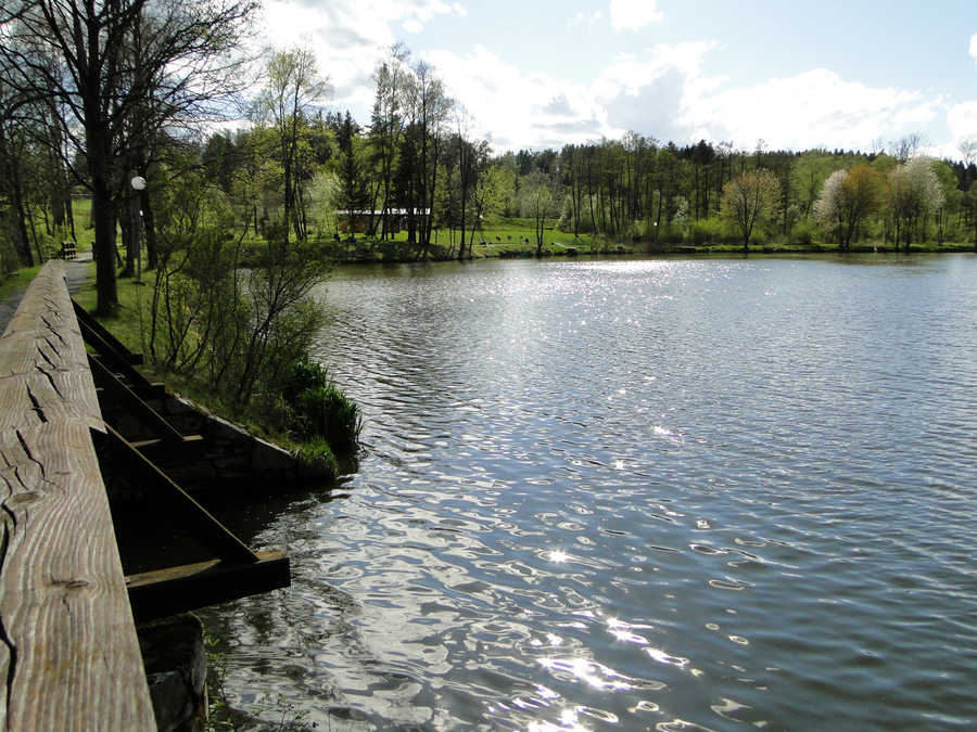 Stadtsee Allentsteig - Südufer