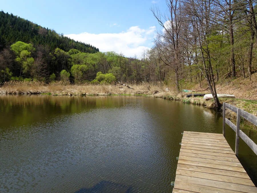 Kronsegger Stausee - Steg im oberen Teil des Sees