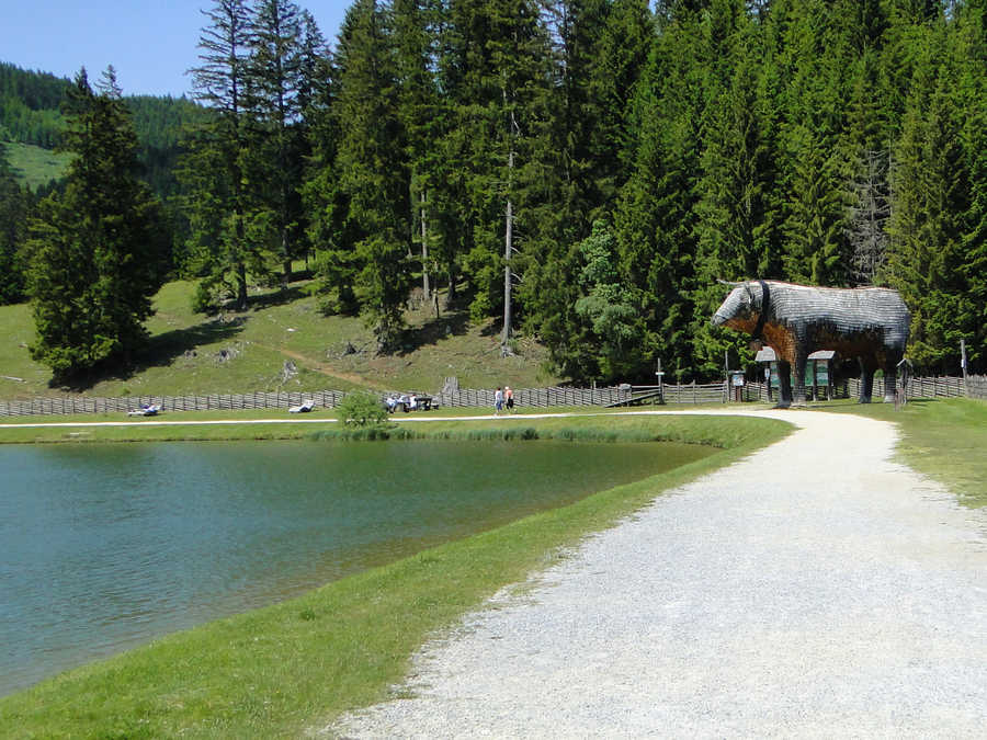 Riesen-Almochse beim Teichalmsee