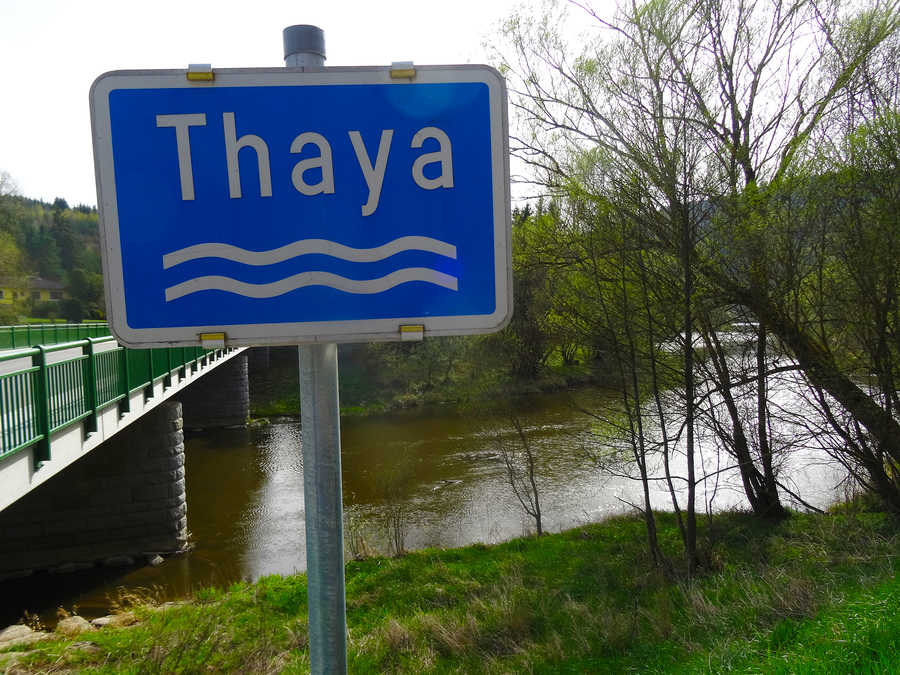 Fischen in der Thaya