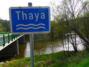 Thaya Drosendorf