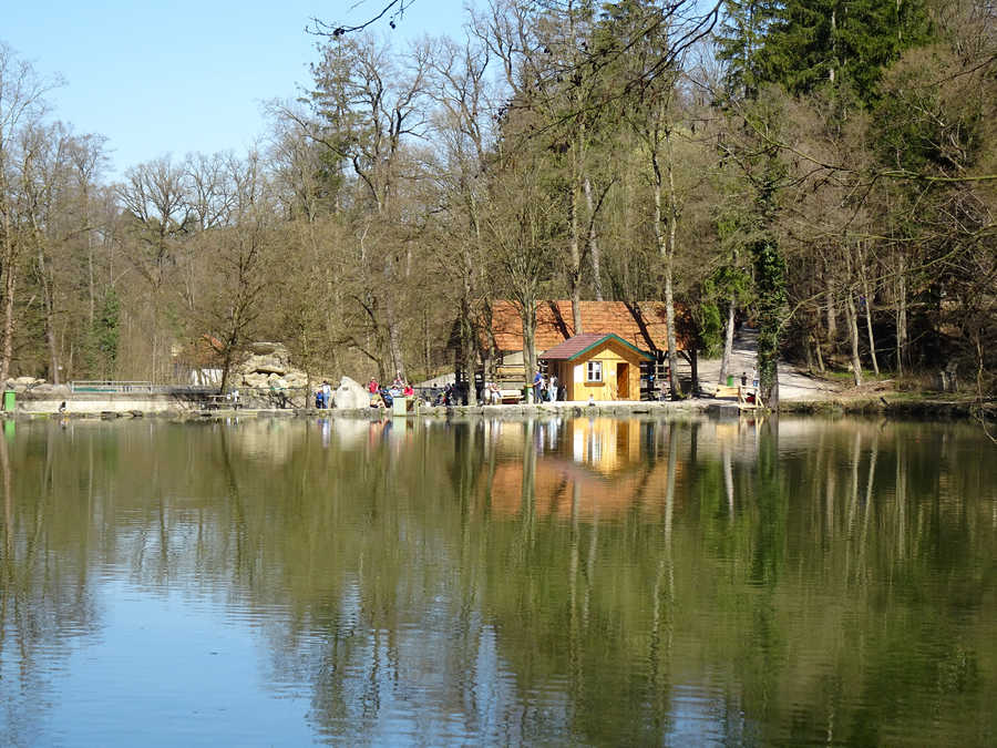 Tierpark Stadt Haag - Teich 