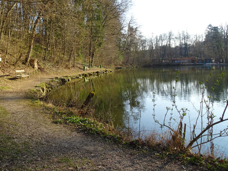 Am Teich im Tierpark Haag gibt es auch einen eigenen Bereich nur für Angler
