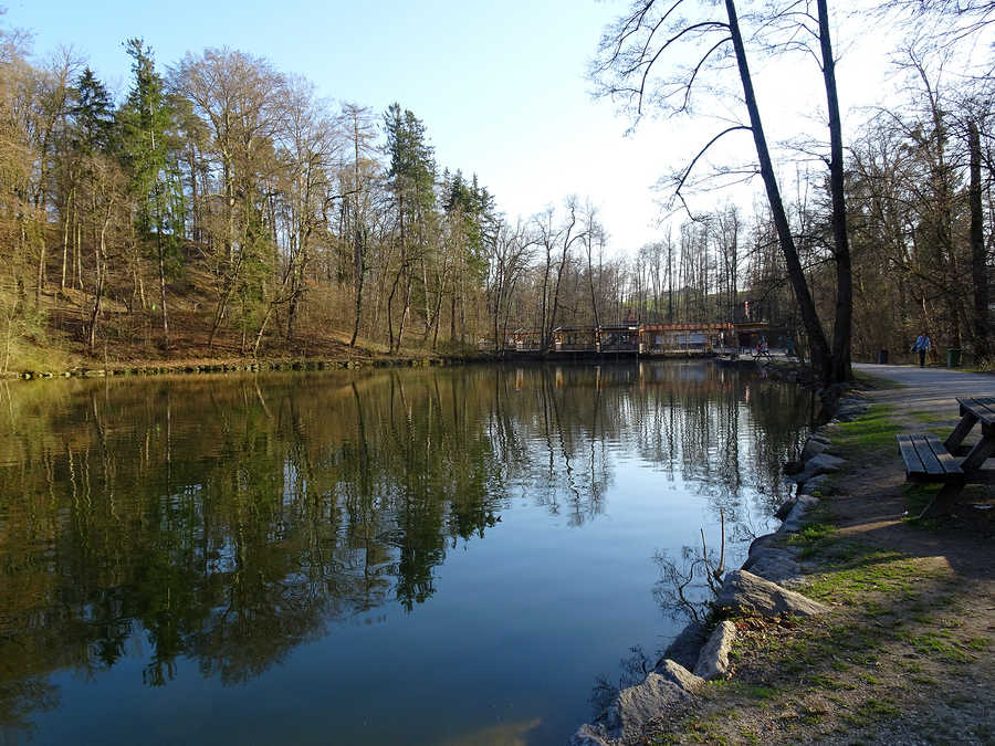 Jochteich im Tierpark Stadt Haag am Abend