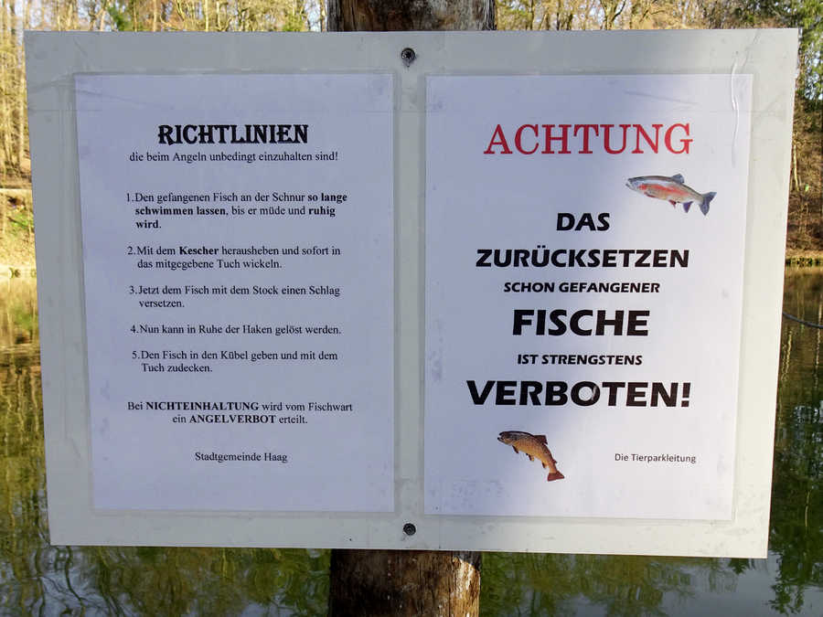 Auch am Teich im Tierpark Haag gibt es Regeln.