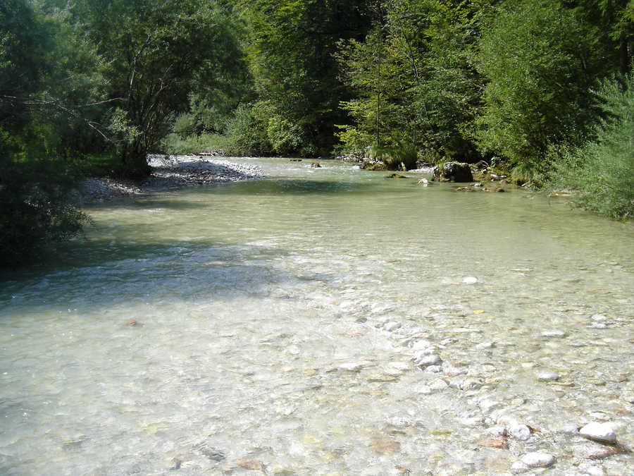 Fischen an der Torrener Ache